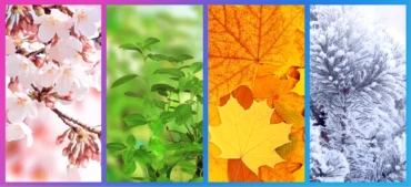 A collage of seasonal foliage