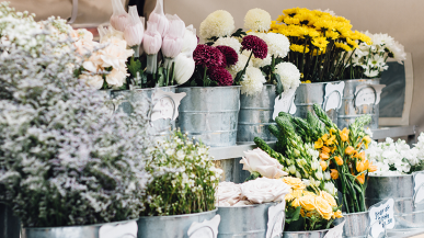 flowers in pots